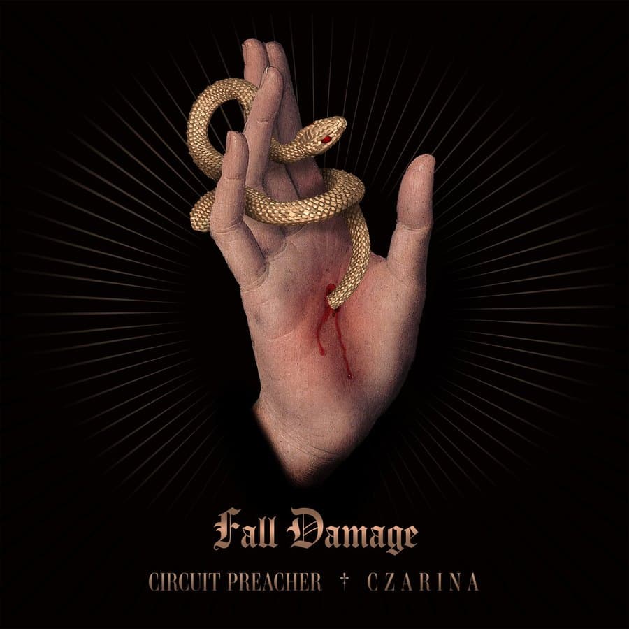 Fall Damage cover art